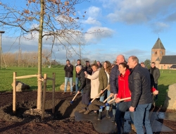 Planten eeuwboom Dekker 2018