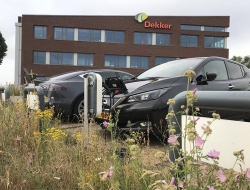 Dekker IJzendoorn parkeerplaats met kruiden
