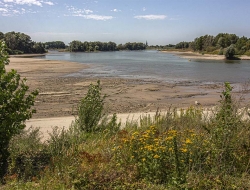 Zienswijze Dekker op Integraal Rivier Management (IRM)