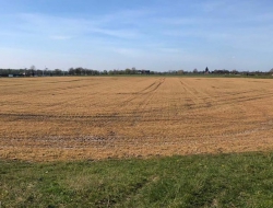 Verbod glysofaat op pachtgronden van Dekker