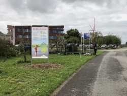 Zonnepanelen bij Dekker toegelicht