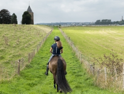 Het ruiterpad in de Randwijkse Waarden bij Heteren is klaar