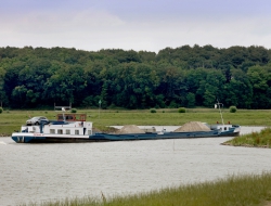 De Cotrans 10 in de Randwijkse Waarden in Heteren. Foto: Hans Barten